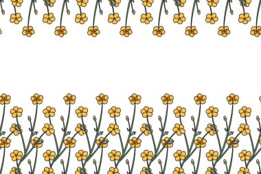 Beyaz arka planda izole edilmiş çayır çiçekleriyle botanik çiçekli yatay sınır. El çizimi küçük sarı kır çiçekleri bitki vektör illüstrasyonu. Doğum günü için grafik tasarım elementi.