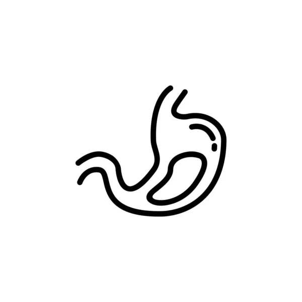Ikona Wektora Żołądka Ikona Medycyny Zarys Stylu Idealne Zastosowanie Logo — Wektor stockowy