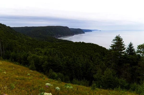 Άποψη Της Ακτής Από Fundy Trail Parkway Υψηλής Ποιότητας Φωτογραφία — Φωτογραφία Αρχείου