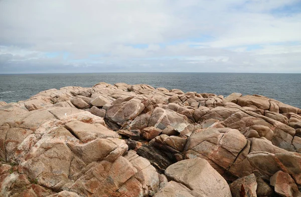 カナダのノバスコシア州のキャボットトレイル沿いの海岸線の景色 高品質の写真 — ストック写真