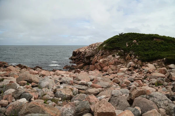 Küstenblick Entlang Des Cabot Trail Nova Scotia Kanada Hochwertiges Foto — Stockfoto