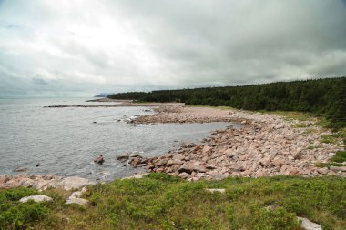 Cabot Patikası boyunca kıyı manzarası, Nova Scotia, Kanada. Yüksek kalite fotoğraf