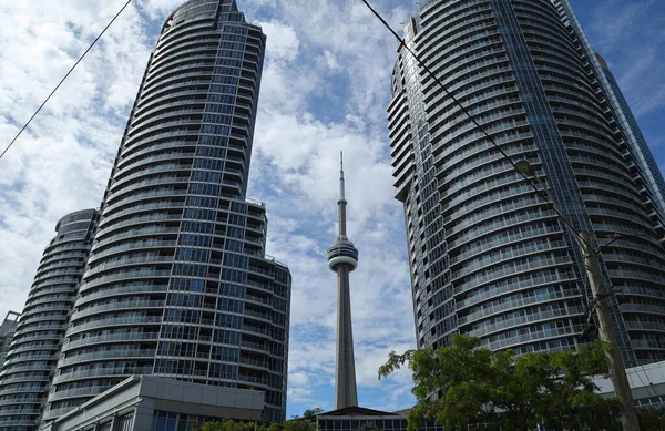 Torre Entre Arranha Céus Toronto Canadá Foto Alta Qualidade Fotografia De Stock