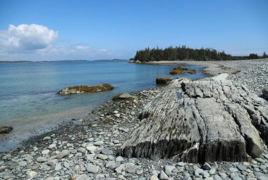 Taylor Head Park, Nova Scotia. Yüksek kalite fotoğraf