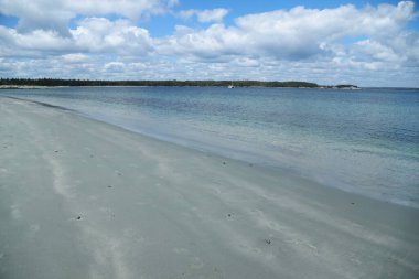 Taylor Head Park, Nova Scotia. Yüksek kalite fotoğraf