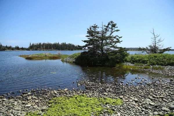 Taylor Head Park Nova Scotia Фотографія Високої Якості — стокове фото