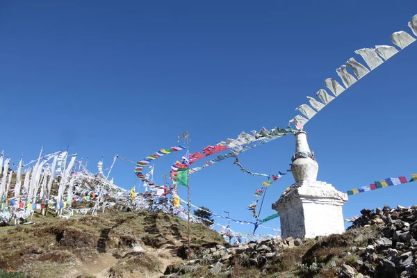 Tibetisch Buddhistische Gebetsfahnen Bhutan Hochwertiges Foto — Stockfoto