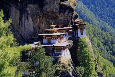 Bhutan 'daki Kaplan Yuvası Tapınağı manzarası. Yüksek kalite fotoğraf