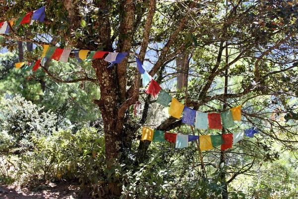 Prayer flags on the mountains of Bhutan. High quality photo