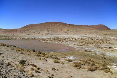 The beautiful colors of the Puna Argentina. High quality photo