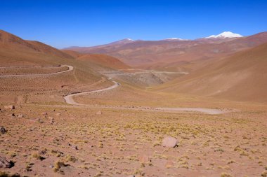 The beautiful colors of the Puna Argentina. High quality photo