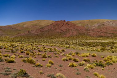 The beautiful colors of the Puna Argentina. High quality photo