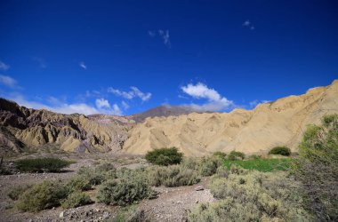 Typical landscape of North West Argentina. High quality photo