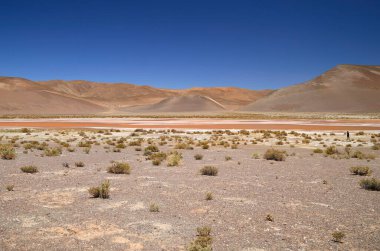 Carachi Pampas lagoon biosphere reserve, Argentina. High quality photo
