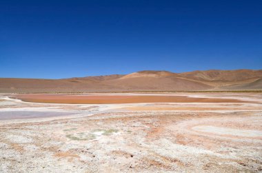 Carachi Pampas lagoon biosphere reserve, Argentina. High quality photo