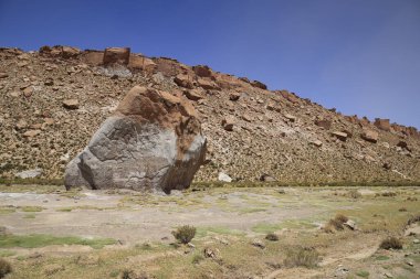 Typical landscape of North West Argentina. High quality photo
