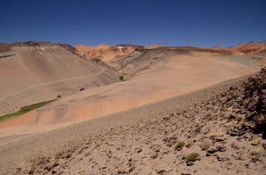 Puna landscape near the Antofalla Salar, Argentina. High quality photo