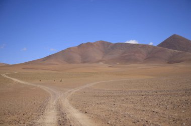 The red color of the landscapes of the Puna, Argentina. High quality photo