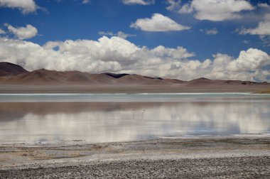 View of the diamond lagoon in the Puna Argentina. High quality photo