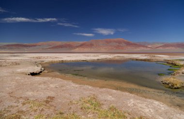 Carachi Pampa gölü, biyosfer rezervi, Arjantin. Yüksek kalite fotoğraf