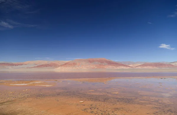 Die Lagune Von Carachi Pampa Biosphärenreservat Argentinien Hochwertiges Foto — Stockfoto