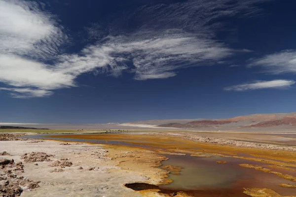 Carachi Pampa Lagoon Biosphere Reserve Argentina High Quality Photo — Stock Photo, Image
