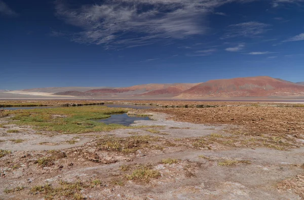 阿根廷生物圈保护区Carachi Pampa泻湖 高质量的照片 — 图库照片