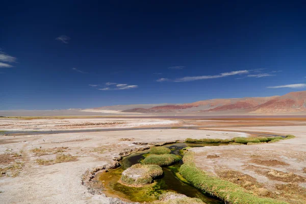 The Carachi Pampa lagoon, biosphere reserve, Argentina. High quality photo