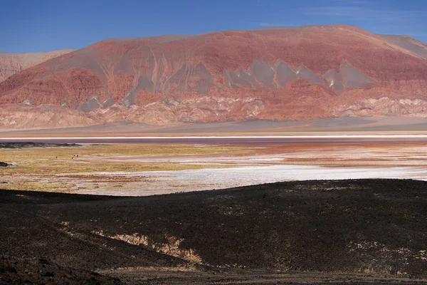 stock image The Carachi Pampa lagoon, biosphere reserve, Argentina. High quality photo