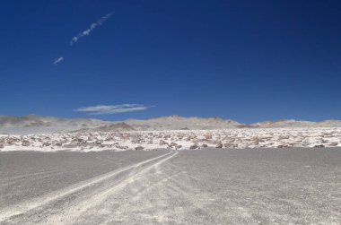 Kuzey Batı Arjantin 'deki sünger taşı tarlası dünyada eşsizdir. Yüksek kalite fotoğraf