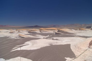 Kuzey Batı Arjantin 'deki sünger taşı tarlası dünyada eşsizdir. Yüksek kalite fotoğraf