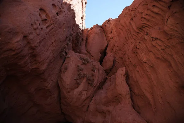 Скальные Образования Квебрада Лас Конхас Аргентина Высокое Качество Фото — стоковое фото