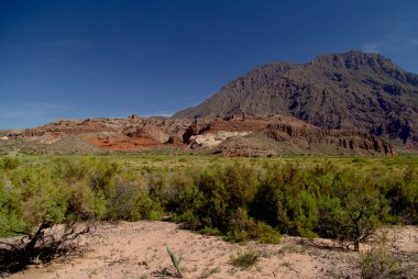 Quebrada De Las Conchas, Arjantin 'in kaya oluşumları. Yüksek kalite fotoğraf