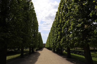 Kongens Bulvarı 'nda Kopenhag' da park yeri var. Yüksek kalite fotoğraf