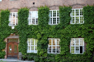 The windows of an ancient building in Copenhagen completely surrounded by greenery. High quality photo