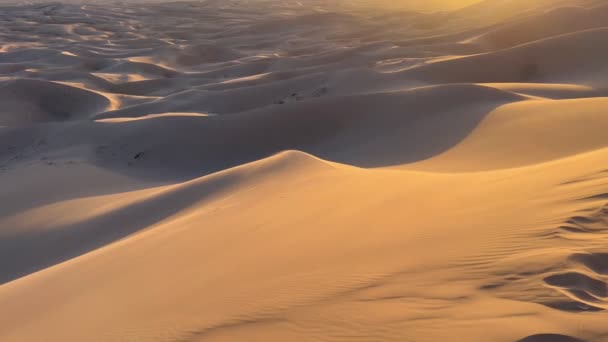 Wind Caresses Dunes Khongoryn Els Mongolia High Quality Footage — Stock Video