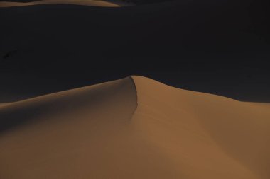 Khongoryn Els kumulları gün batımında, Gobi çölünde. Yüksek kalite fotoğraf