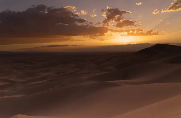 ホノリン エルサルダン 夕暮れ ゴビ砂漠 高品質の写真 — ストック写真