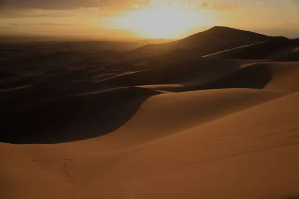 ホノリン エルサルダン 夕暮れ ゴビ砂漠 高品質の写真 — ストック写真