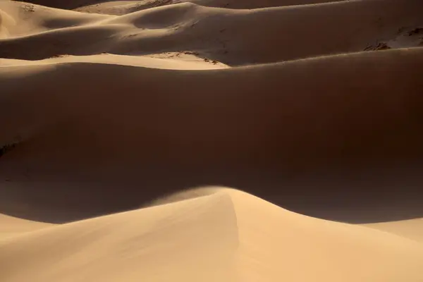 Дюни Хонгорін Елс Пустеля Гобі Монголія Високоякісна Фотографія — стокове фото