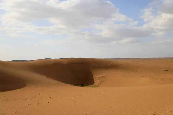 Khongoryn Els Dűnék Naplementekor Góbi Sivatagban Kiváló Minőségű Fénykép — Stock Fotó