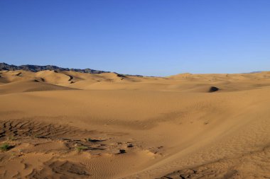 Sabahları Khongoryn Els 'in şarkı söyleyen kumulları, Gobi Çölü. Yüksek kalite fotoğraf