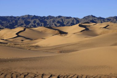 Sabahları Khongoryn Els 'in şarkı söyleyen kumulları, Gobi Çölü. Yüksek kalite fotoğraf