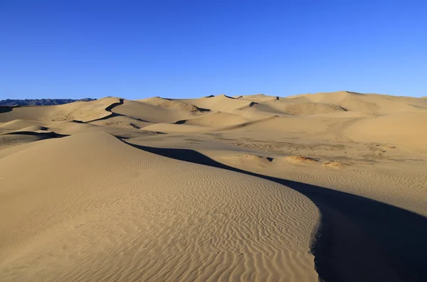朝のホンゴリン エルスの歌う砂丘 ゴビ砂漠 高品質の写真 — ストック写真