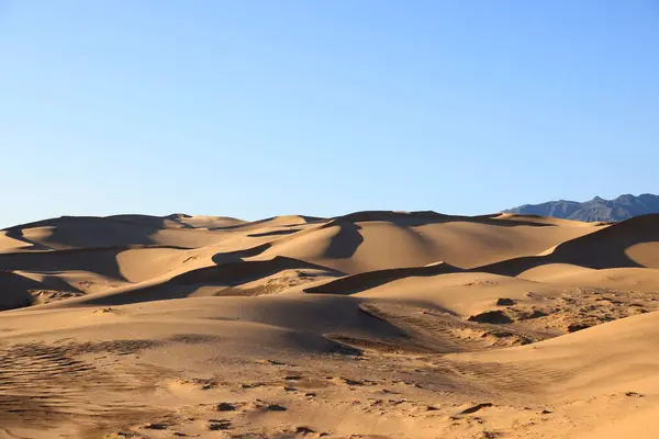 Die Singenden Dünen Von Khongoryn Els Morgen Wüste Gobi Hochwertiges — Stockfoto