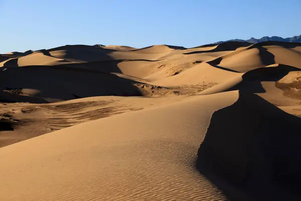 Singing Dunes Khongoryn Els Morning Gobi Desert High Quality Photo — Stock Photo, Image