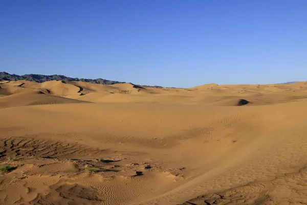 Dune Cantanti Khongoryn Els Mattino Deserto Del Gobi Foto Alta — Foto Stock
