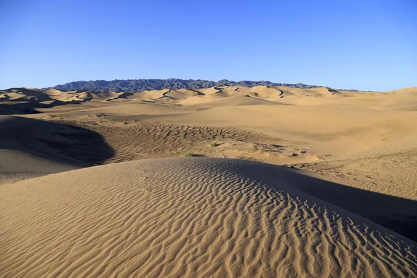 Singing Dunes Khongoryn Els Morning Gobi Desert High Quality Photo — Stock Photo, Image