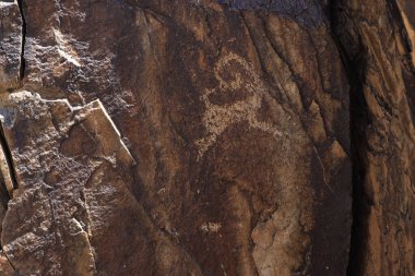 Gobi Petroglifleri, Bichigtiin Am sitesi, Moğolistan. Yüksek kalite fotoğraf