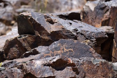 Gobi Petroglifleri, Bichigtiin Am sitesi, Moğolistan. Yüksek kalite fotoğraf